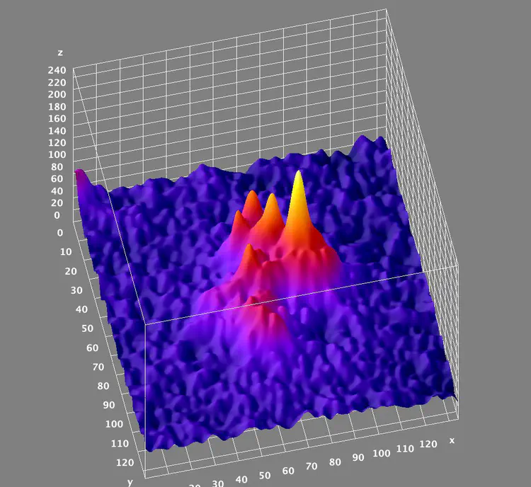 Surface_Plot_of_Denoised-ch9_CAF130_002-1-1.jpg